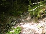 Prtovč - Altemaver (Ratitovec)